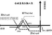 铁蝴蝶期权的策略