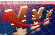 大资金看好今日市场反弹 发生了什么？