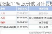 百融云-W早盘涨超11% 股份购回***规模扩大至最高3.75亿港元