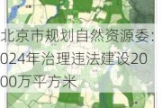 北京市规划自然资源委：2024年治理违法建设2000万平方米