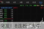 突发！8连板“大牛股”公告：实控人遭***立案调查！公司股票已停牌