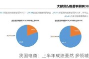 我国电商：上半年成绩斐然 多领域增长