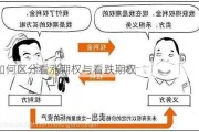 如何区分看涨期权与看跌期权