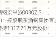 酒钢宏兴(600307.SH)：控股股东酒钢集团首次增持1317.71万元股份