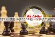 *ST 宁科：债务规模 26.11 亿，面临破产清算风险