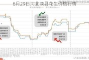 6月29日河北滦县花生价格行情