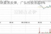 养殖板块震荡反弹，广弘控股涨超8%