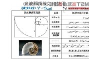 斐波那契线如何使用