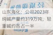 山东海化：公司2023年纯碱产量约319万吨，轻重碱约各占一半