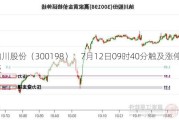 纳川股份（300198）：7月12日09时40分触及涨停板