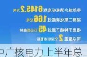 中广核电力上半年总上网电量约1060.10亿千瓦时 同比增长0.09%