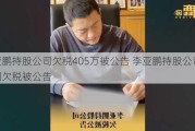 李亚鹏持股公司欠税405万被公告 李亚鹏持股公司再因欠税被公告