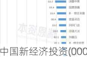 中国新经济投资(00080.HK)：每股净资产值0.06港元，2024年5月31日数据