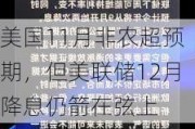 美国11月非农超预期，但美联储12月降息仍箭在弦上