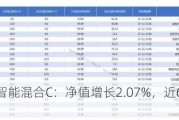 东方人工智能混合C：净值增长2.07%，近6个月收益率-21.17%