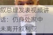 叙总理发表视频讲话：仍身处家中 未离开叙利亚