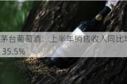 茅台葡萄酒：上半年销售收入同比增长 35.5%