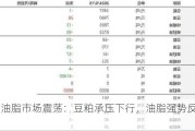 豆类油脂市场震荡：豆粕承压下行，油脂强势反弹1.6%