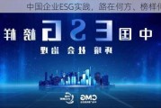 中国企业ESG实践，路在何方、榜样何来？