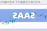 欧朋公司盘中异动 下午盘股价大涨5.01%