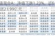 国富弹性市值混合A：净值下跌1.23%，近6个月收益率4.63%，规模达23.99亿元