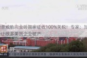 特朗普威胁向金砖国家征收100%关税！专家：加关税会让很多美国企业破产