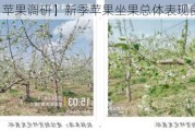 【苹果调研】新季苹果坐果总体表现良好