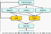 如何评估股票的财务风险与不确定性：保护投资安全的重要步骤