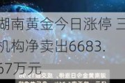 湖南黄金今日涨停 三机构净卖出6683.67万元