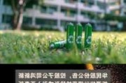 华民股份子公司增资扩股 正泰新能源拟战略入股