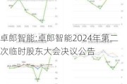 卓郎智能:卓郎智能2024年第二次临时股东大会决议公告