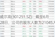 威尔高(301251.SZ)：截至6月28日，公司的股东人数为21045人