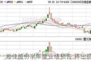湘佳股份半年度业绩预告:将出现扭亏