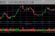 光大期货：5月29日软商品日报