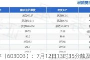 *ST龙宇（603003）：7月12日13时35分触及涨停板