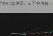 最高3亿元回购自家股票，ST万林股价一字涨停，钱从哪里来？