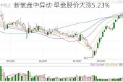 新氧盘中异动 早盘股价大涨5.23%