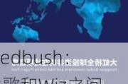 Wedbush：谷歌和Wiz之间未能达成交易可能“开启一轮并购周期”