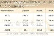 威派格(603956.SH)2023年年度权益分派：每10股派1元 6月6日股权登记