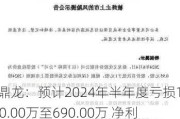 ST鼎龙：预计2024年半年度亏损1030.00万至690.00万 净利润同比下降119.99%至113.39%