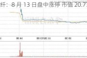 南京化纤：8 月 13 日盘中涨停 市值 20.77 亿