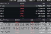 业绩“点赞”！洛阳钼业归母净利预增6-7倍，黄金个股业绩预喜，有色龙头ETF（159876）盘中逆市上探1.57%