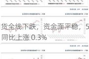 国债期货全线下跌，资金面平稳，5 月 CPI 同比上涨 0.3%