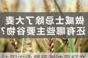 法国农业部预测油菜籽产量下降 冬大麦产量大幅降低