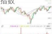 两轮大幅波动 股票基金指数的表现也远超上证指数