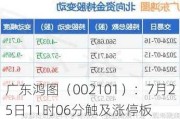 广东鸿图（002101）：7月25日11时06分触及涨停板