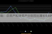 赛轮轮胎：总资产和净资产分别同比增长9.69%和20.03%