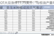 CBOT大豆涨停11.75美分：马棕油产量增长出口放缓，美玉米种植或因天气推迟