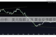 黄金市场分析：美元指数上涨 黄金反弹略受抑制