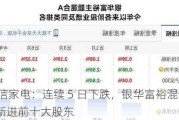 海信家电：连续 5 日下跌，银华富裕混合 A 新进前十大股东